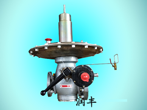 RTZ-*/0.4AQ型燃?xì)庹{(diào)壓器/天